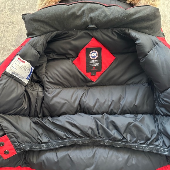 Jacket - Picture 6 of 13